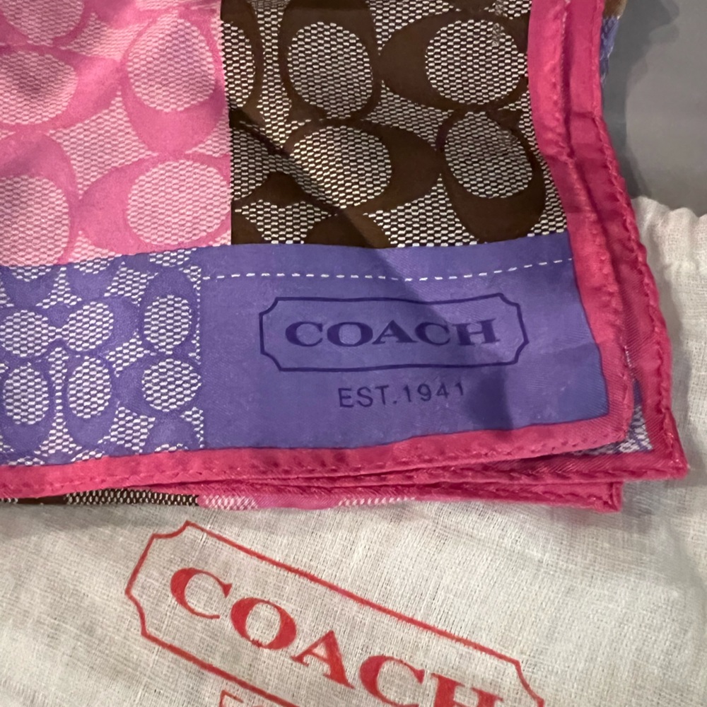 Silk Coach Scarf